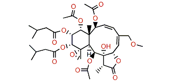 Dichotellide M